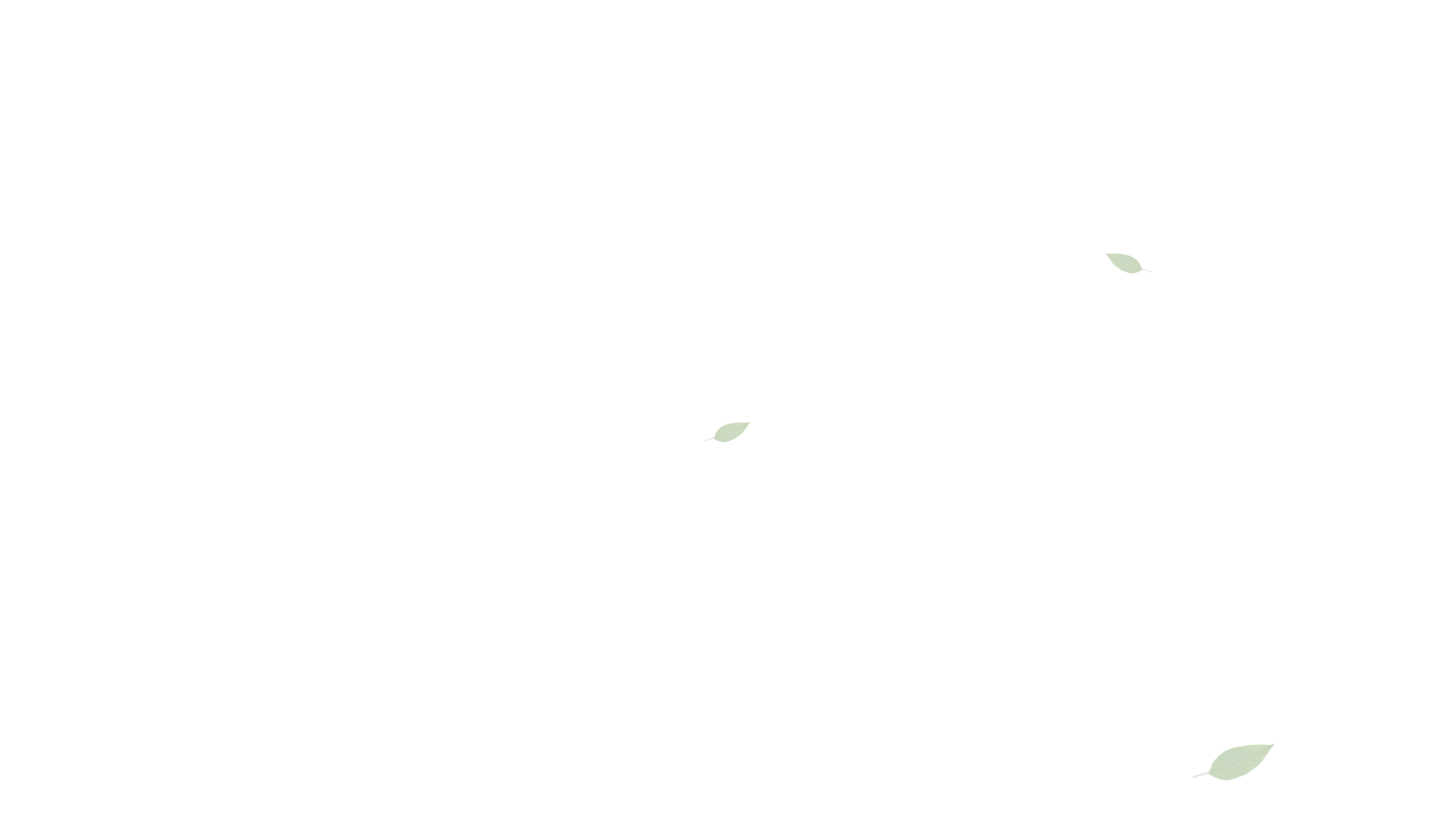 Luxury Food Background